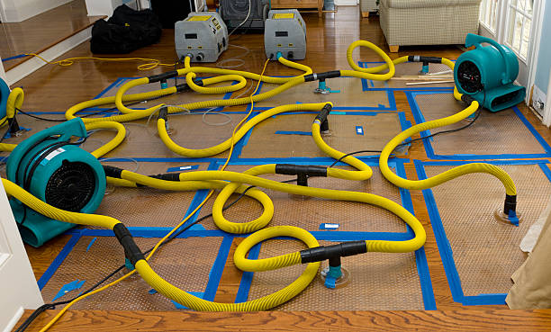Professional Water Damage Repair technician working in Courtland, AL